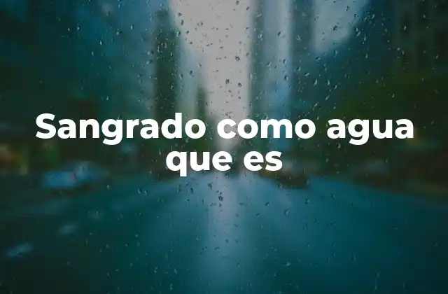 Sangrado como Agua que es 2 La importancia de la gestión del agua