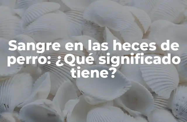 Causas comunes de sangre en las heces de perro
