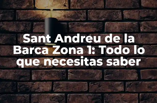 Sant Andreu de la Barca Zona 1: Todo Lo que Necesitas Saber