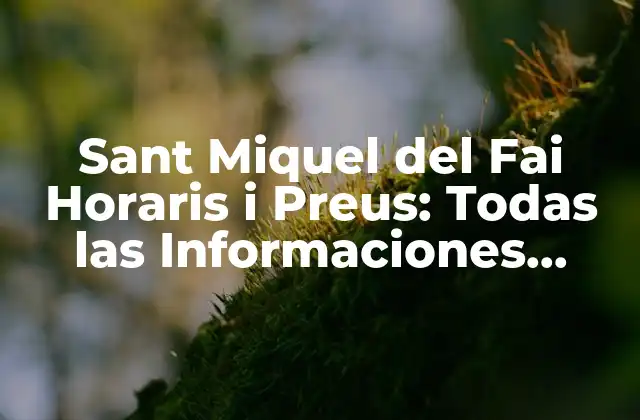 Sant Miquel Del Fai Horaris I Preus: Todas las Informaciones Necesarias