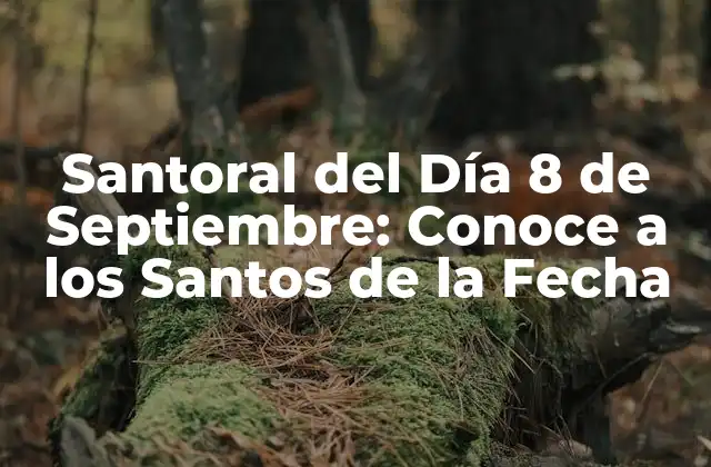 Santoral Del Día 8 de Septiembre: Conoce a los Santos de la Fecha
