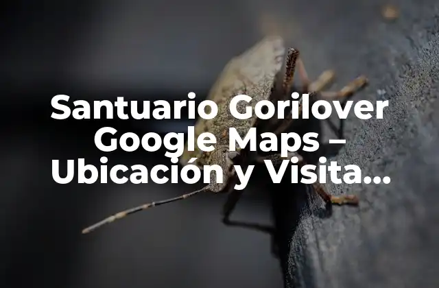 Santuario Gorilover Google Maps - Ubicación y Visita Virtual 2 Orígenes del Santuario Gorilover