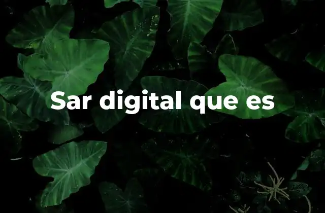 Sar Digital que es