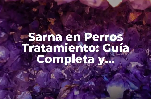 Sarna en Perros Tratamiento: Guía Completa y Actualizada