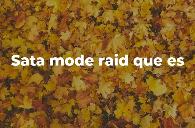 Sata Mode Raid que es