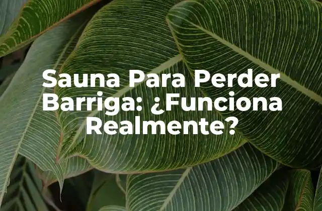 Sauna para Perder Barriga: ¿funciona Realmente?