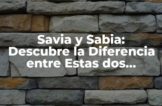 Savia y Sabia: Descubre la Diferencia entre Estas Dos Palabras