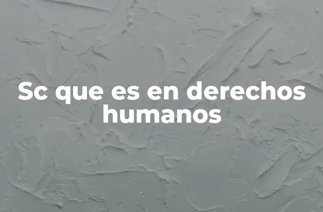Sc que es en Derechos Humanos 2 El rol de SC en el marco legal de los derechos humanos