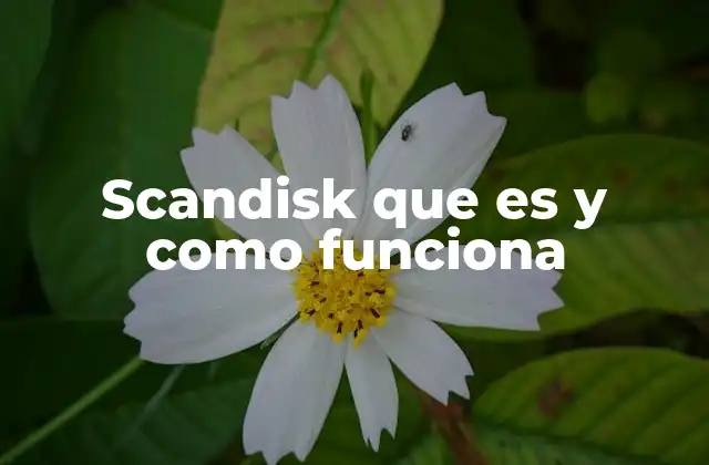 Scandisk que es y como Funciona