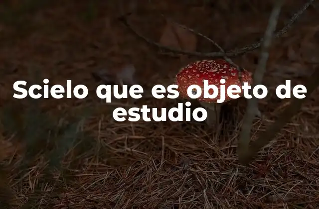 Scielo que es Objeto de Estudio