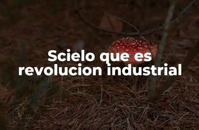 Scielo que es Revolucion Industrial
