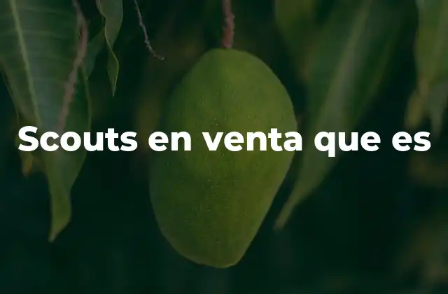 Scouts en Venta que es