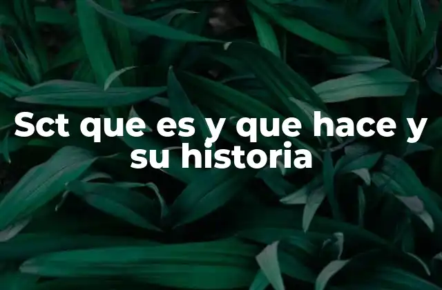 Sct que es y que Hace y Su Historia