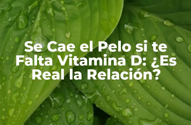 ¿Cómo la Vitamina D Afecta el Crecimiento del Cabello?