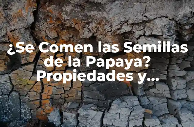 ¿se Comen las Semillas de la Papaya? Propiedades y Beneficios