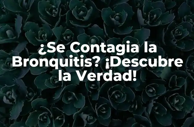 ¿Qué es la Bronquitis y Cómo se Desarrolla?