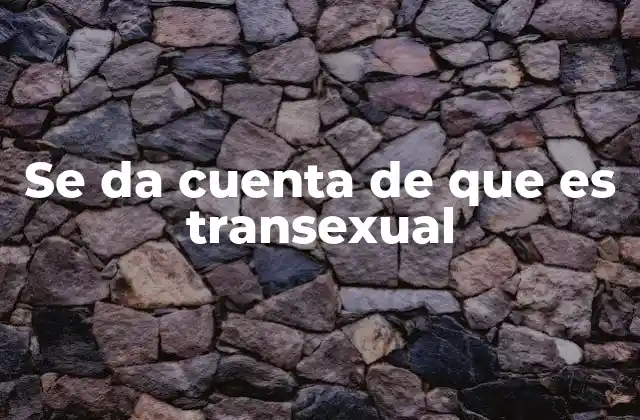 Se Da Cuenta de que es Transexual 2 El viaje hacia el autodescubrimiento de género