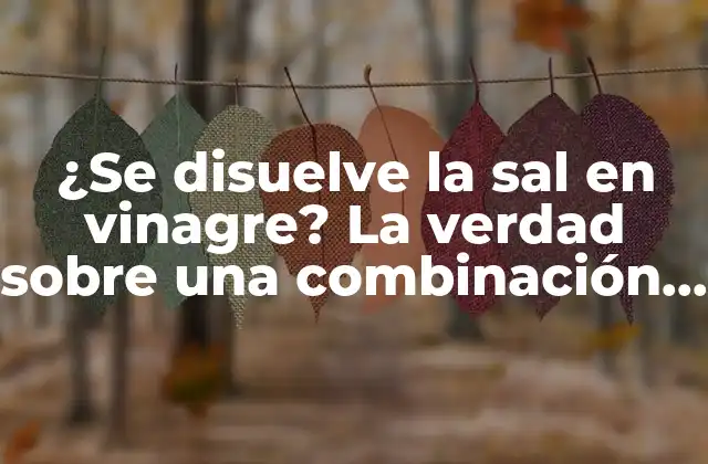 ¿se Disuelve la Sal en Vinagre? la Verdad sobre una Combinación Común