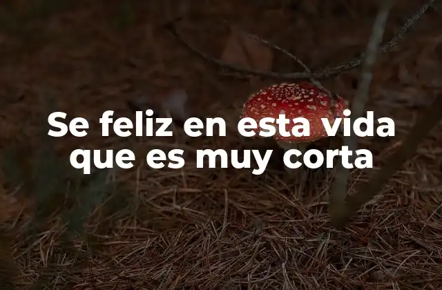 Se Feliz en Esta Vida que es Muy Corta