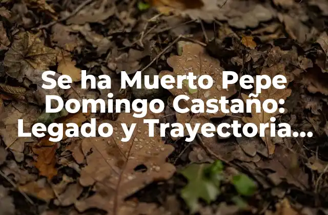 Se Ha Muerto Pepe Domingo Castaño: Legado y Trayectoria Del Famoso Cantante