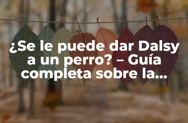 ¿se Le Puede Dar Dalsy a un Perro? – Guía Completa sobre la Seguridad de Dalsy para Perros