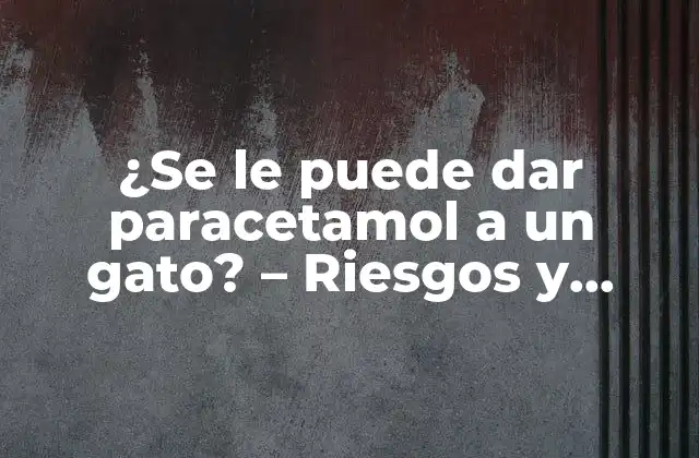 ¿se Le Puede Dar Paracetamol a un Gato? – Riesgos y Alternativas