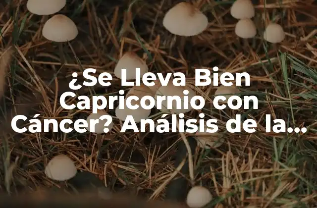 ¿se Lleva Bien Capricornio con Cáncer? Análisis de la Compatibilidad Astrología