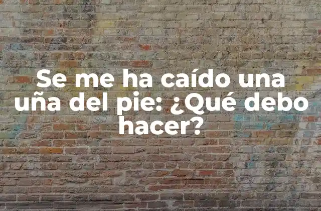 Se Me Ha Caído una Uña Del Pie: ¿qué Debo Hacer?
