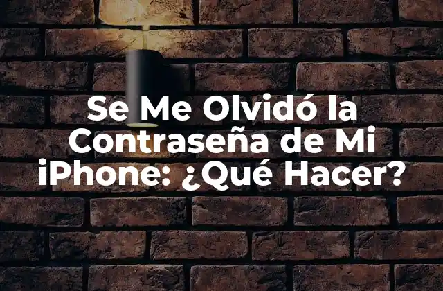 Se Me Olvidó la Contraseña de Mi Iphone: ¿qué Hacer? 2 ¿Por Qué Se Me Olvidó la Contraseña de Mi iPhone?