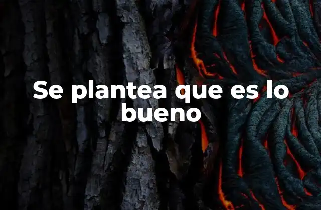 Se Plantea que es Lo Bueno