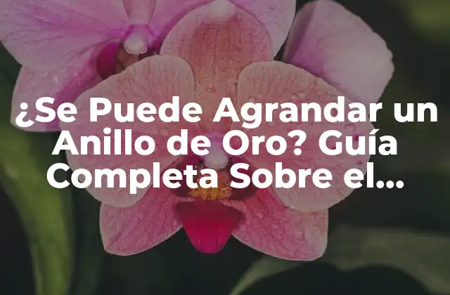 ¿se Puede Agrandar un Anillo de Oro? Guía Completa sobre el Tamaño de Anillos