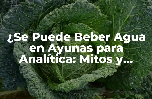 ¿se Puede Beber Agua en Ayunas para Analítica: Mitos y Verdades