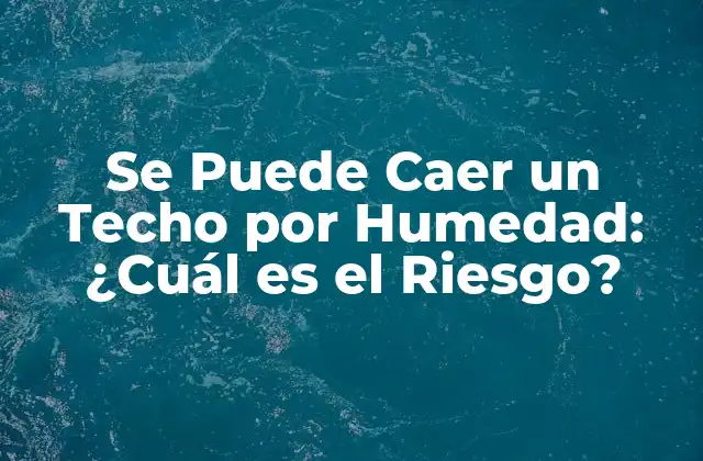 Se Puede Caer un Techo por Humedad: ¿cuál es el Riesgo?