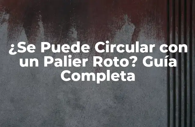 ¿se Puede Circular con un Palier Roto? Guía Completa 2 ¿Cuáles son las Consecuencias de Circular con un Palier Roto?