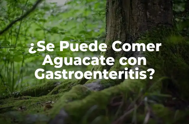 ¿se Puede Comer Aguacate con Gastroenteritis?