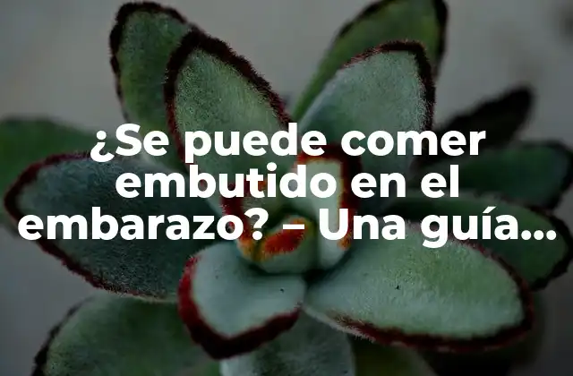 ¿se Puede Comer Embutido en el Embarazo? – una Guía Completa