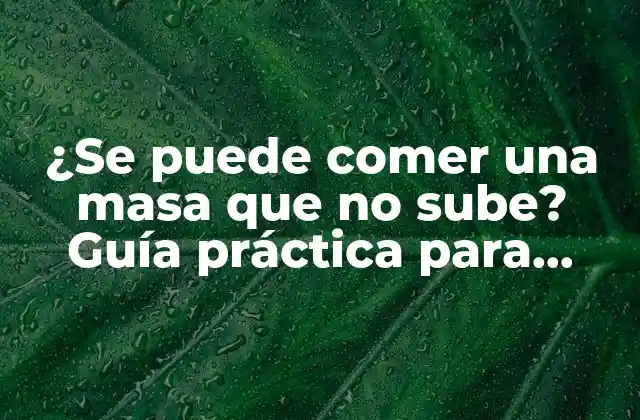 ¿se Puede Comer una Masa que No Sube? Guía Práctica para Masa sin Levadura