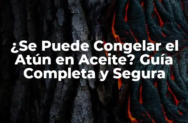 ¿se Puede Congelar el Atún en Aceite? Guía Completa y Segura