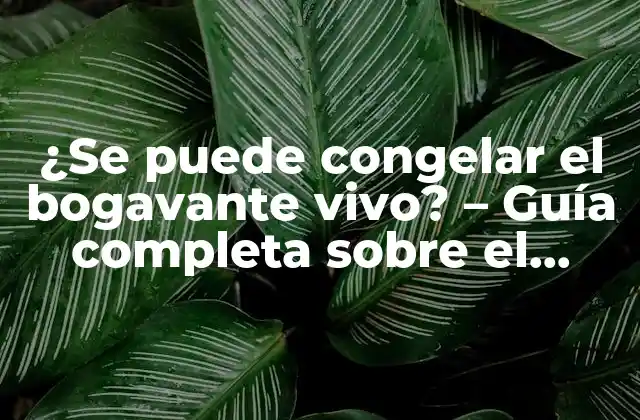 ¿se Puede Congelar el Bogavante Vivo? – Guía Completa sobre el Congelamiento de Bogavantes