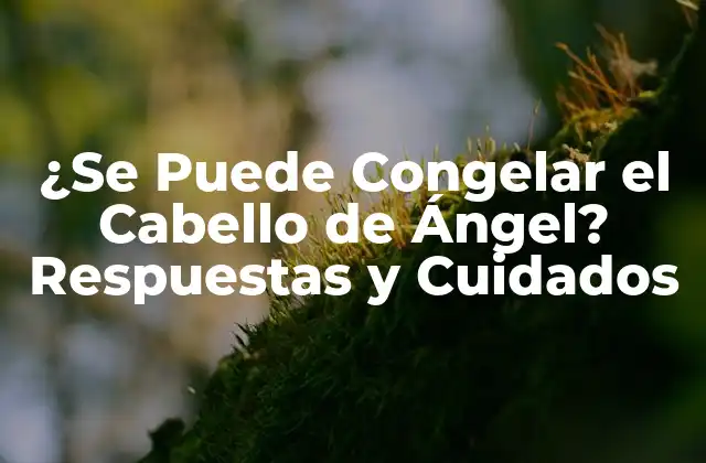 ¿Qué es el Cabello de Ángel?