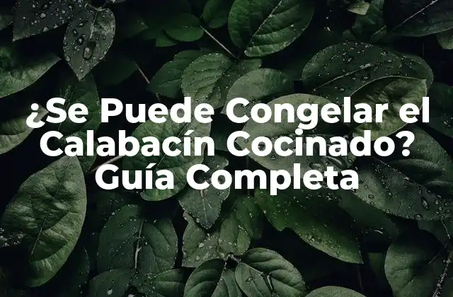 ¿se Puede Congelar el Calabacín Cocinado? Guía Completa 2 ¿Qué es el Calabacín y Sus Propiedades Nutricionales?