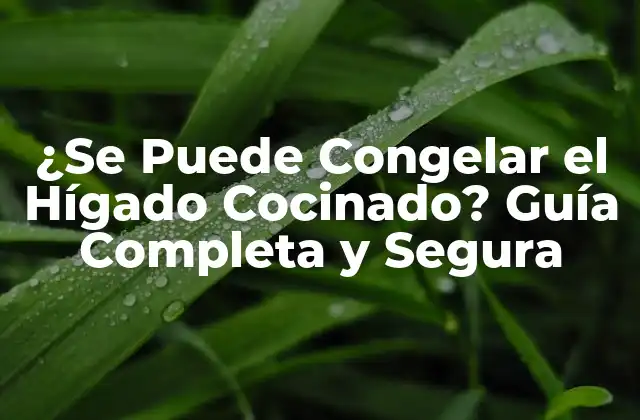 ¿se Puede Congelar el Hígado Cocinado? Guía Completa y Segura