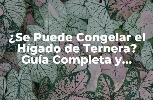 ¿se Puede Congelar el Hígado de Ternera? Guía Completa y Segura