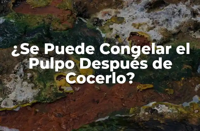 ¿se Puede Congelar el Pulpo Después de Cocerlo?