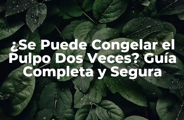 ¿se Puede Congelar el Pulpo Dos Veces? Guía Completa y Segura