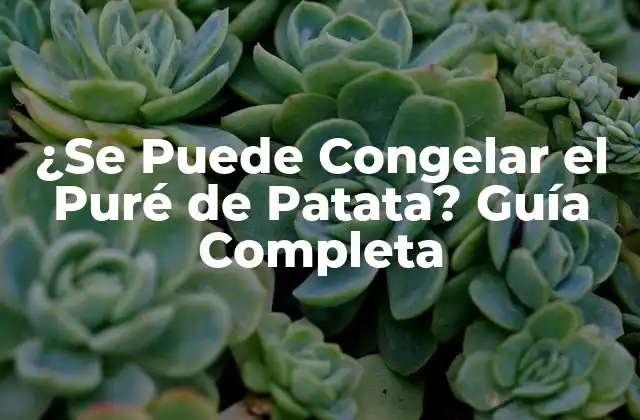¿se Puede Congelar el Puré de Patata? Guía Completa