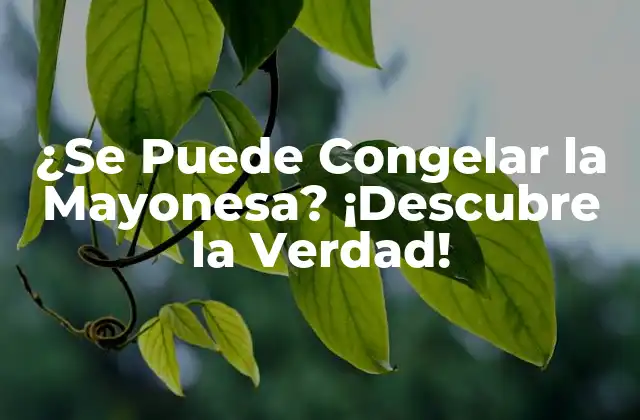 ¿se Puede Congelar la Mayonesa? ¡descubre la Verdad!