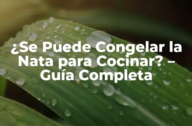 ¿se Puede Congelar la Nata para Cocinar? – Guía Completa