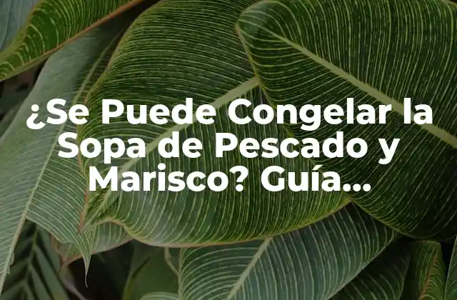 ¿se Puede Congelar la Sopa de Pescado y Marisco? Guía Completa