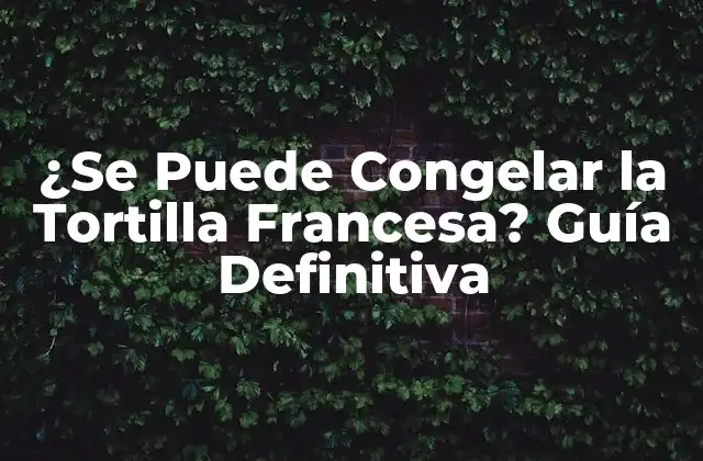 ¿se Puede Congelar la Tortilla Francesa? Guía Definitiva